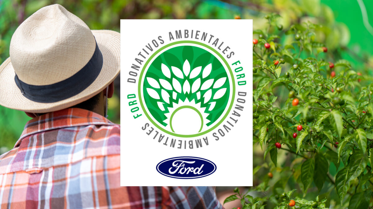 Donativos Amientales Ford