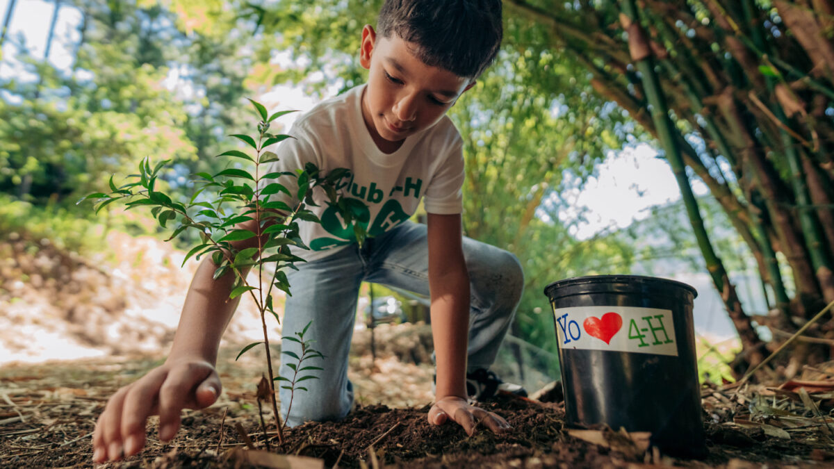 Donativos Ambientales Ford 2026