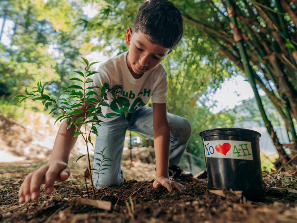 Donativos Ambientales Ford 2026